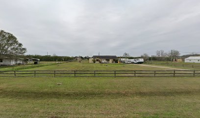 imported image 1760736533