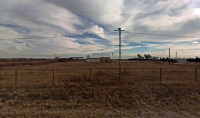 imported image 1760736734