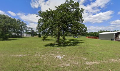 imported image 1760736757