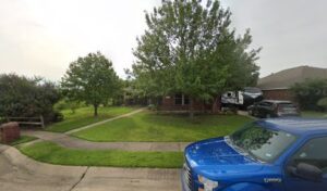 The Faded Fern imported image 1760736785