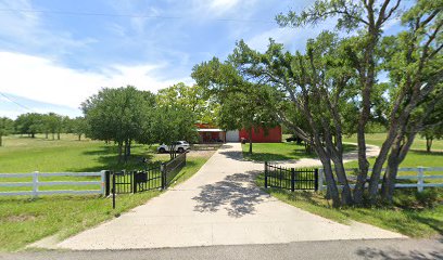 imported image 1760736803