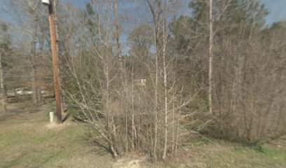 imported image 1760736808