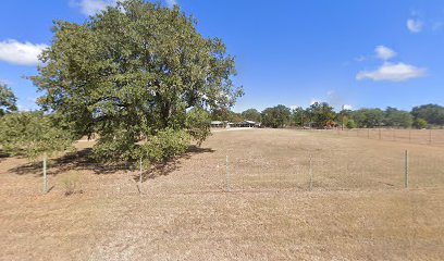 imported image 1760736828