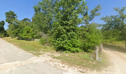 imported image 1760736843