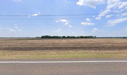 imported image 1760736861