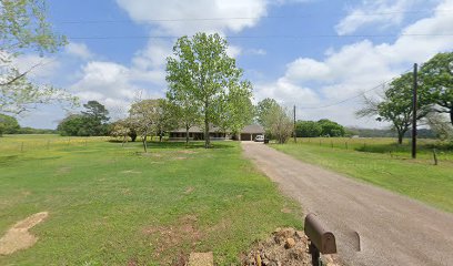 imported image 1760736874