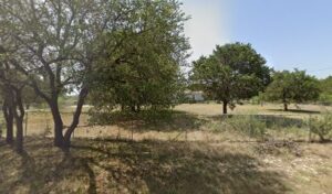 imported image 1760736885